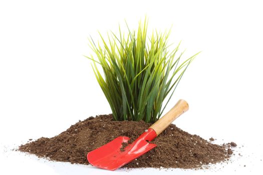 home gardening tools and grass close up 