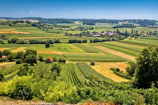 Beautiful green landscape in Kalnik vineyard area, Prigorje region, Croatia