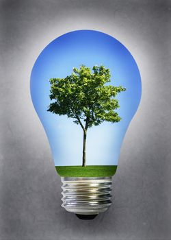 Tree landscape with grass and blue sky inside a light bulb