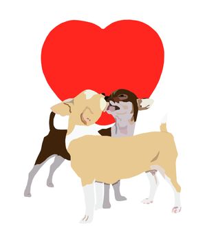 Kissing chihuahua on red heart and white background