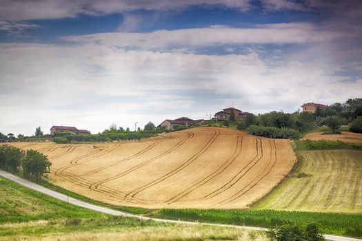 Wheat fields on the hills, with farms