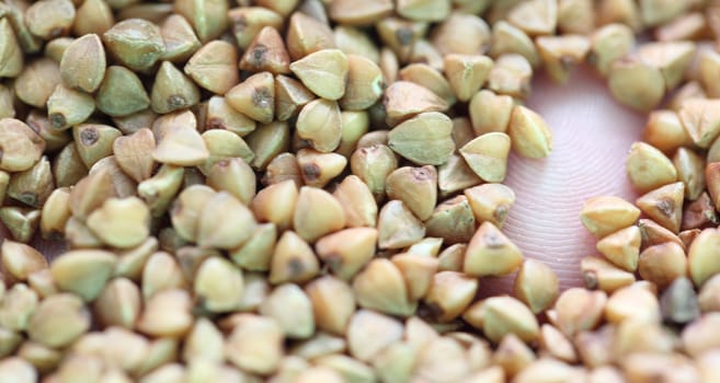 buckwheat on the photo. Closeup