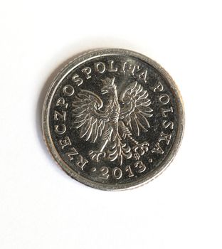 Polish money. coin