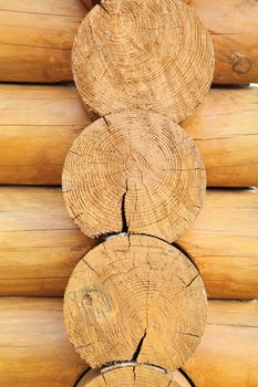 Logs in the wall of old rural house.