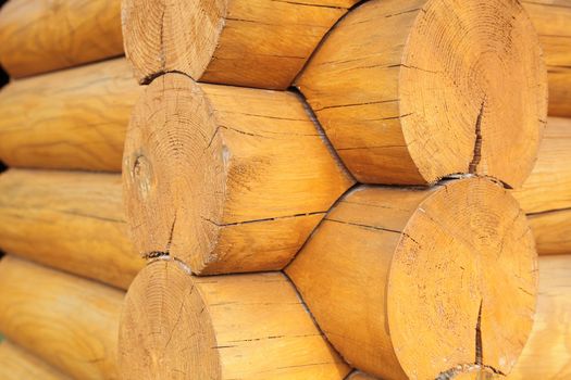 Logs in the wall of old rural house.