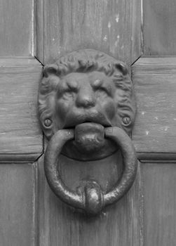 vintage oriental knocker door of metal lion on wood door (gray scale)