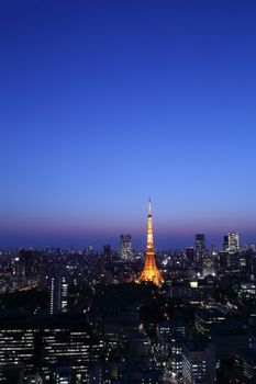 top view of Tokyo cityscape, Japan 