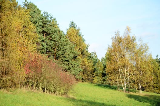 autumn landscape