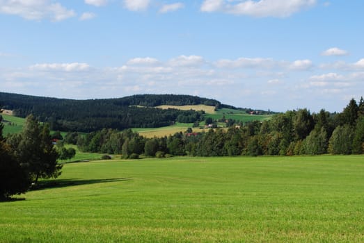 summer landscape