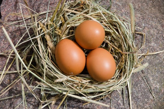three chicken eggs in nest of hay on stone outdoor