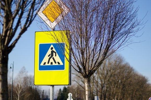 warning road sign pedestrian crossing and intersection on yellow background between the tree branches