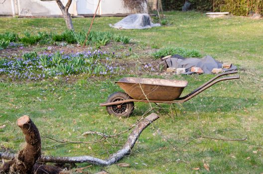 view of garden yard, preparation for spring seasonal work, wheelbarrow in yard