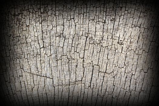 antique  oak wood texture on exterior of very old church