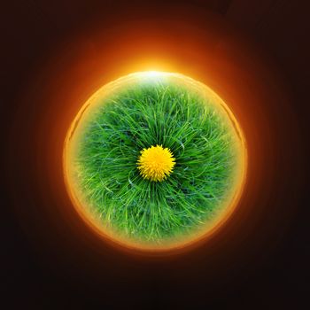 Sunset over the planet from the green grass with dandelions
