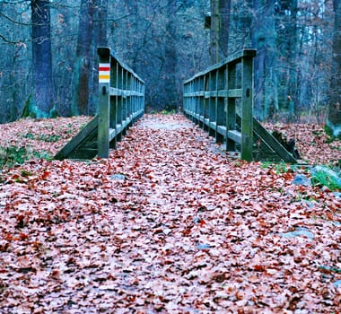 path covered with leaves, over the old wooden bridge