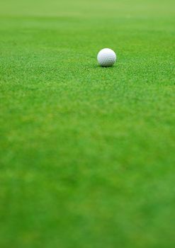 Golf ball on the green, blurred background