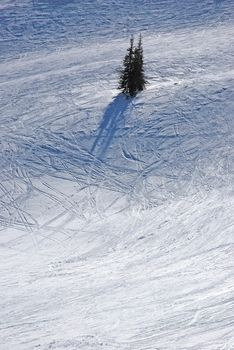 traces of skiers as the background in backlit