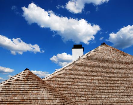 detail of the roof of wooden shingles and thatch