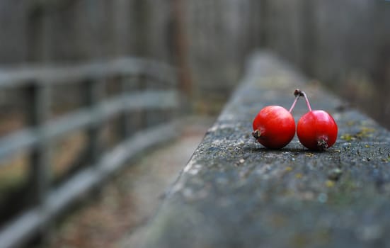 Red pieces on old wooden bridge in autumn