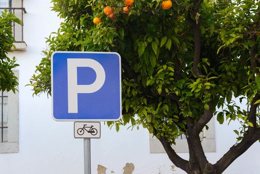 Blue bicycle parking sign near orange tree
