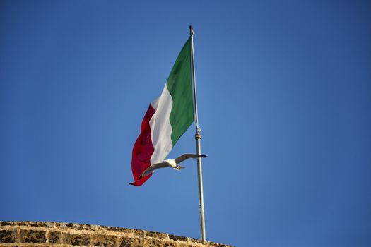 Seagulls (Larinae Rafinesque) flying near Italian flag blowing in the wind: red, white and green in Gallipoli (Lecce) in the South of Italy