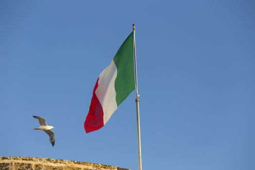 Seagulls (Larinae Rafinesque) flying near Italian flag blowing in the wind: red, white and green in Gallipoli (Lecce) in the South of Italy