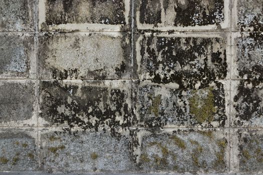 old grunge wall texture background