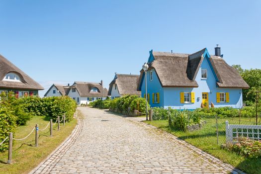 thatched-roof house settlement with cobbled stone street