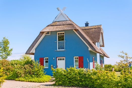 blue thatched-roof house with garden