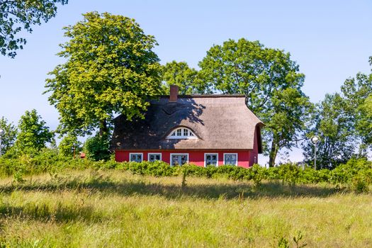 thatched-roof house with trees on a green meadow