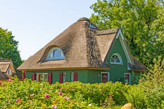 green painted thatched-roof house with garden