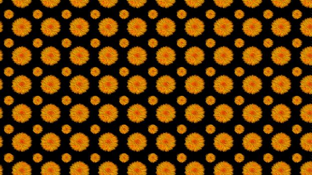Orange flower pattern on a black background