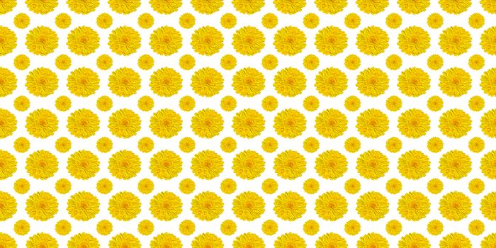Yellow flower pattren on a white background 