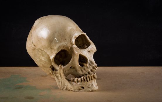 the death human skull as stil life ideal for art and other purposes