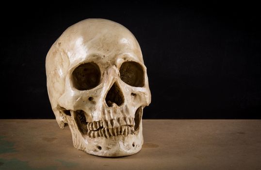 the death human skull as stil life ideal for art and other purposes