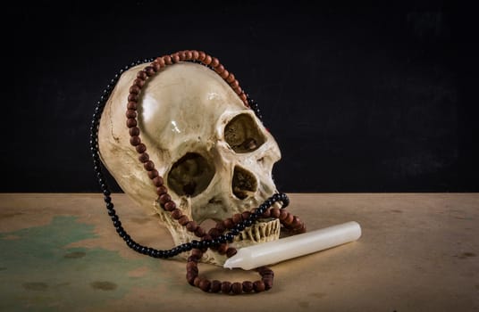 the death human skull as stil life ideal for art and other purposes