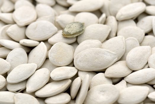 Close-up of bumpkin seeds to use as background