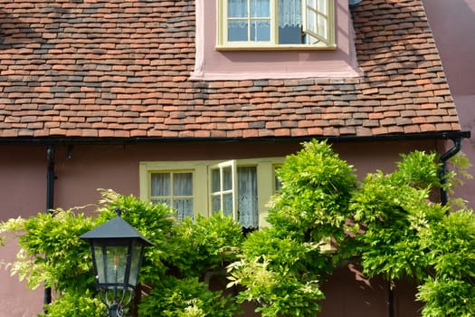 Pink cottage with trees