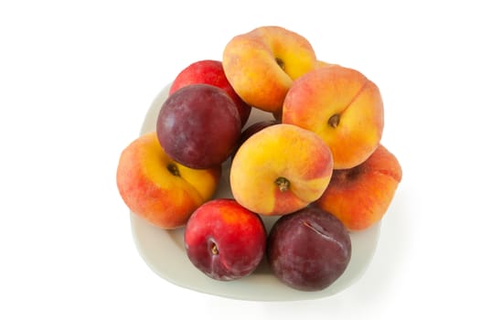 New variety of flat peaches and plums lying on white dish against a white background