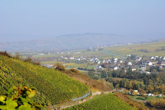 Wintrich an der Mosel im Herbst mit Weinbergen
