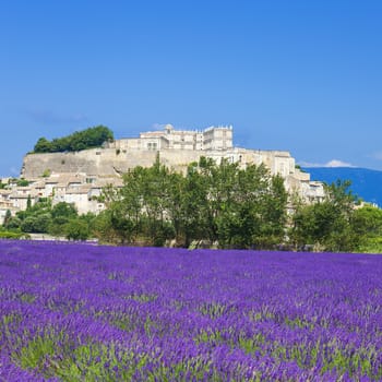 lavender field and town of Grignan, France 