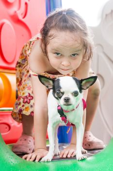 Young girl and her pet dog playing on a slide at the playground