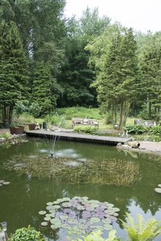 green enlish garden with pond and bridge with gold fishes and flowers