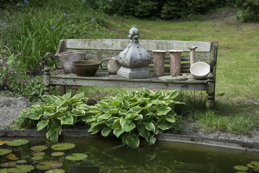 pond with water lily hosta plants and forest as background