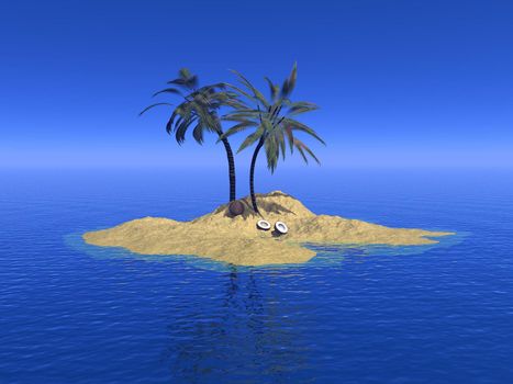 Beautiful island with palm trees and coconuts in the middle of ocean by blue day