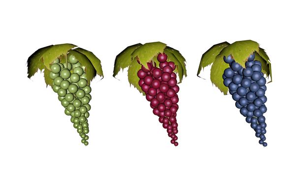 Three grapes (green, red, purple) isolated in white background