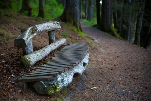 Alaskan Trail Bench in perspective with diminishing focus in Abercrombie Park