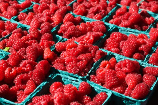 Baskets of Bright Red Raspberries at the Farmers Market