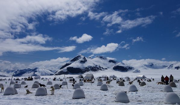 Dog and crew quarters for multiple dog sled team on Alaskan Glacier