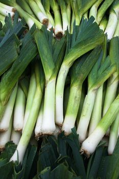 Rows and Piles of Green and white Leeks at the farmers market
